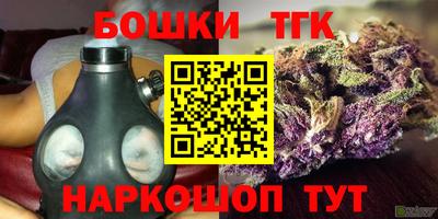 apvp Обь