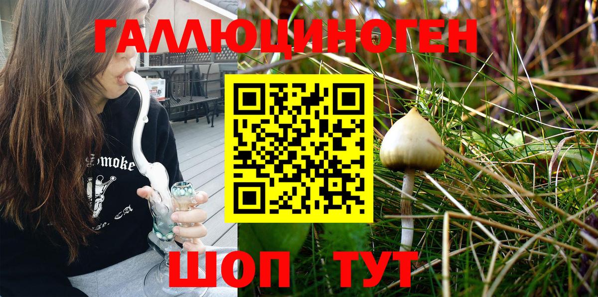Галлюциногенные грибы Cubensis Севастополь